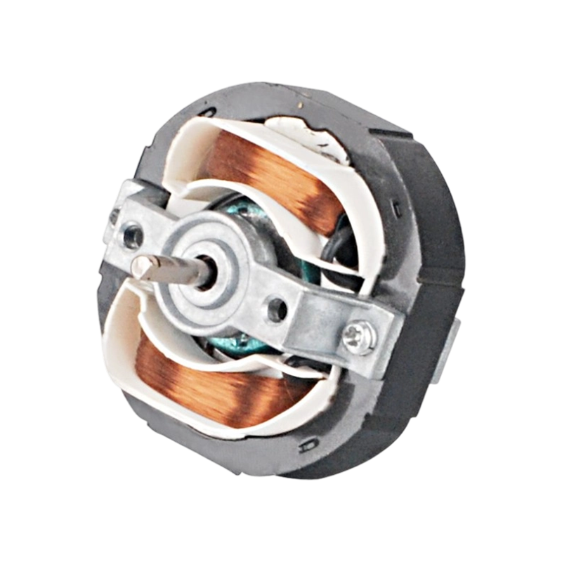 motor electric FJD-01